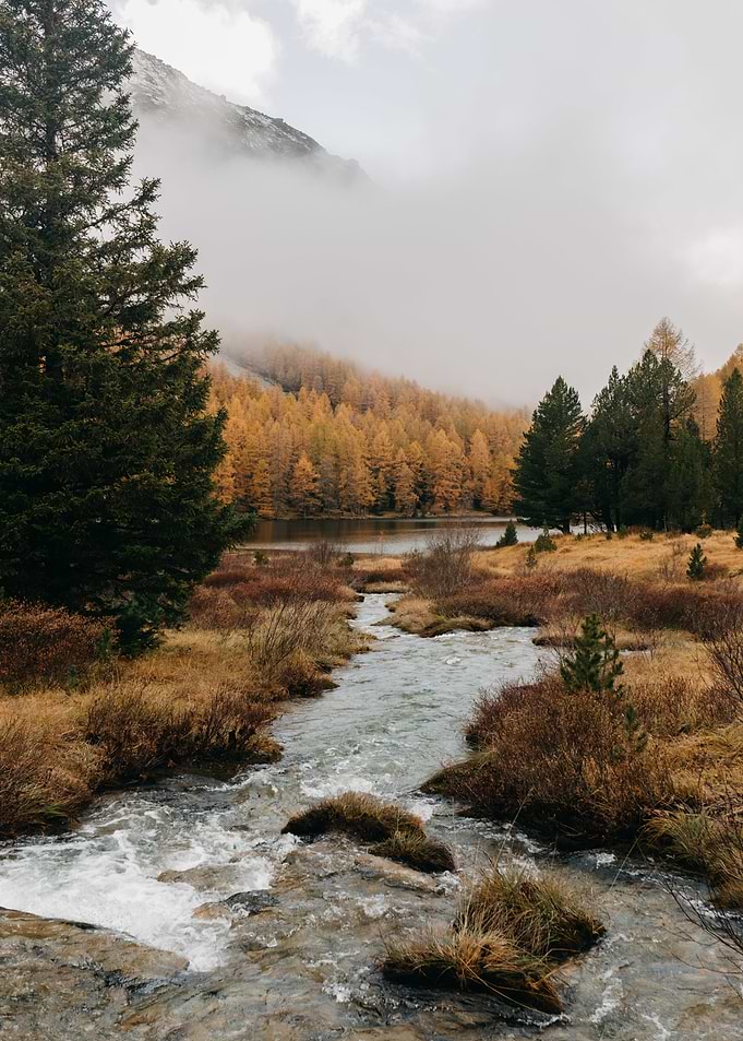 Mountain Stream in Autumn Landscape