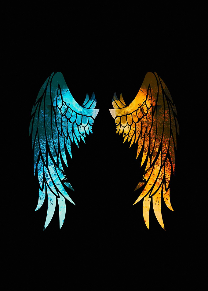 Fire and Ice Wings Illustration