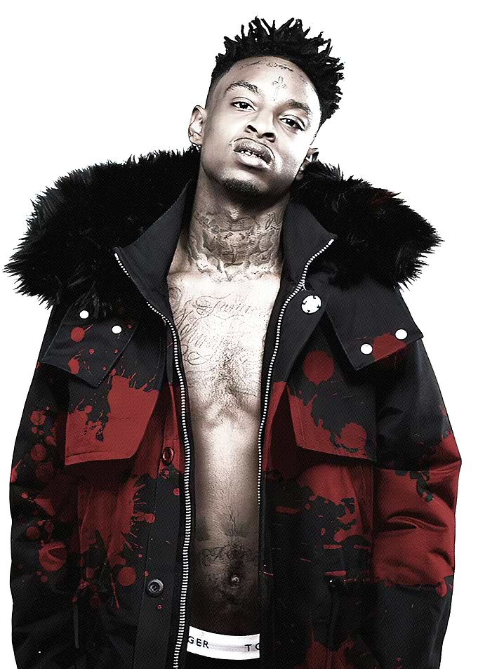 21 Savage Portrait