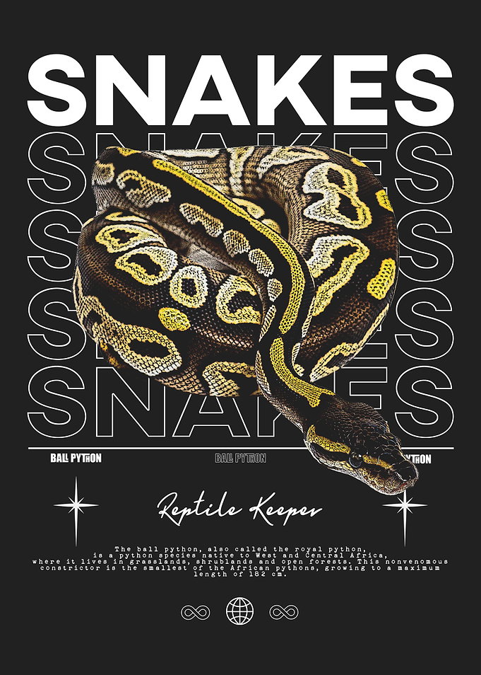 Royal Python Reptile Keeper