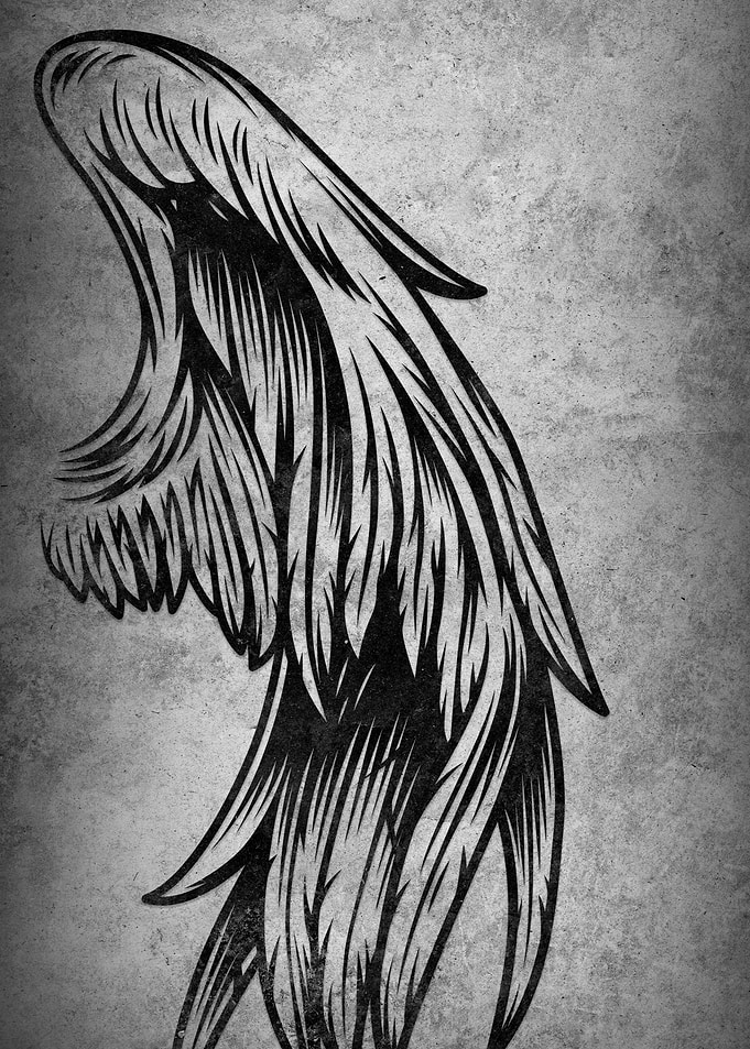 Monochrome Wing Illustration