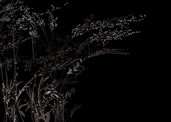 Floral Silhouette on Black Background