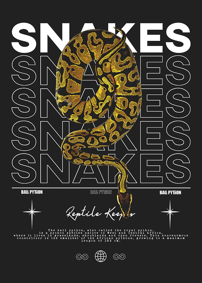 Ball Python Reptile Keeper