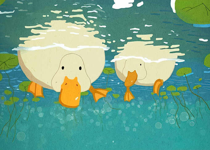 Two Ducks Swimming in a Pond