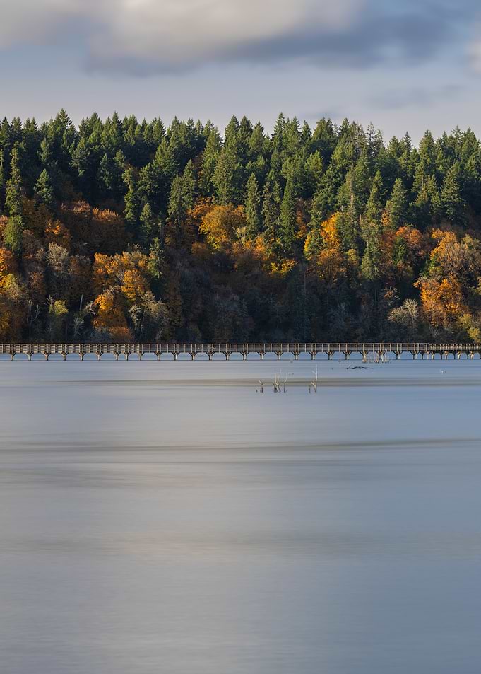 The Stillness of Nisqually 2025