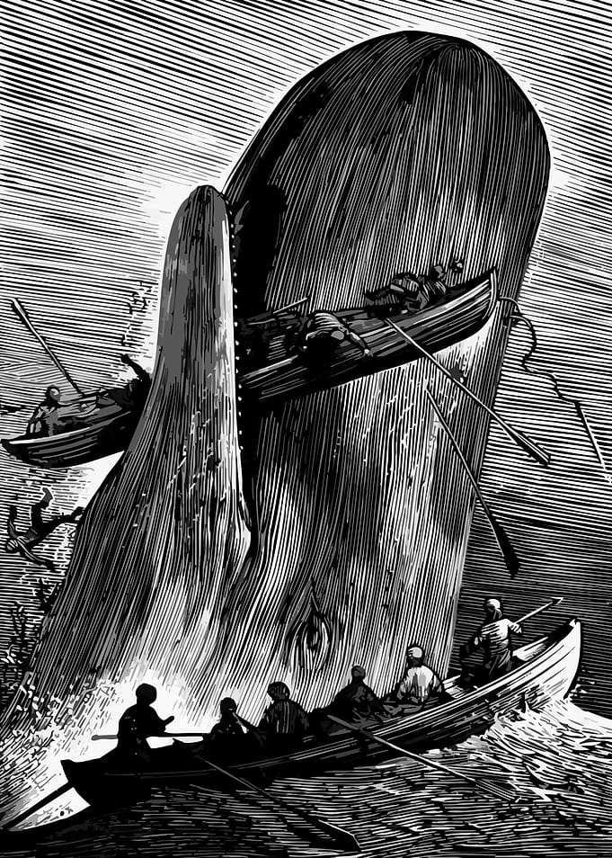 Whale Attack mOBY dICK