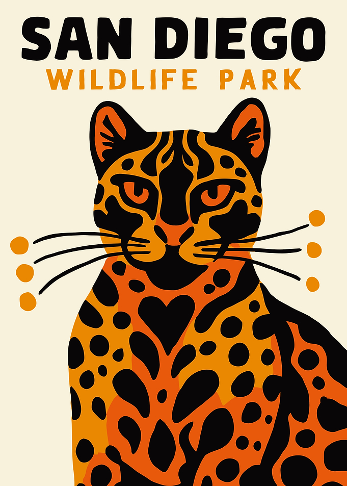 San Diego Wildlife Park Leopard Poster