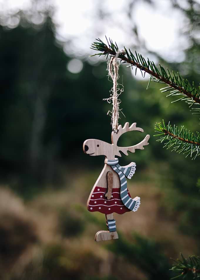 Christmas Reindeer Ornament on Pine Branch