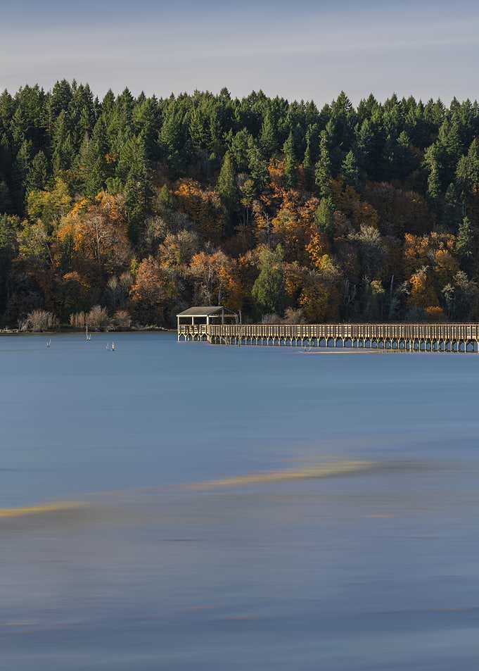 Tranquility at Nisqually