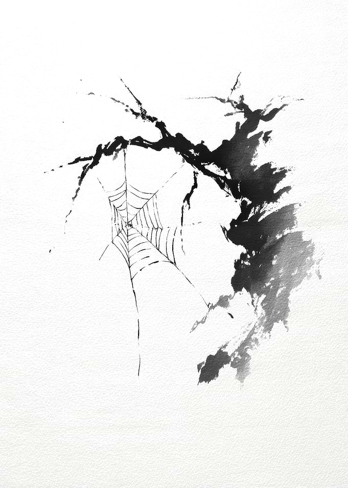 Ink Drawing of Spiderweb and Branch