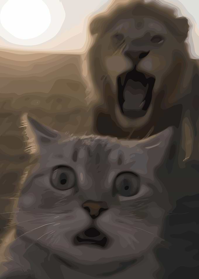 Surprised Cat and Lion Roar