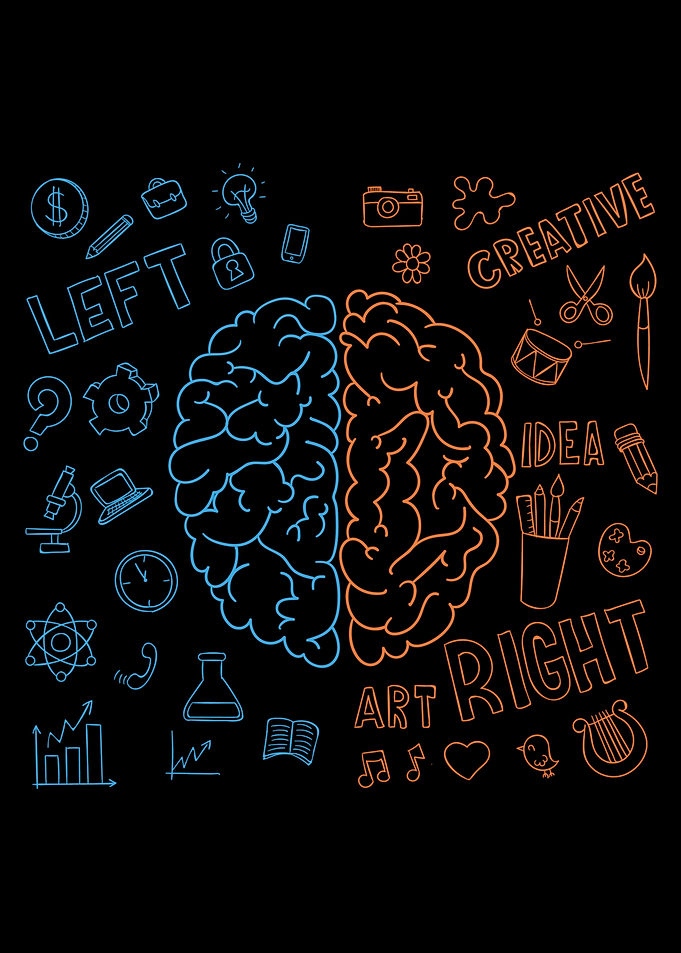 Left Brain vs Right Brain Illustration