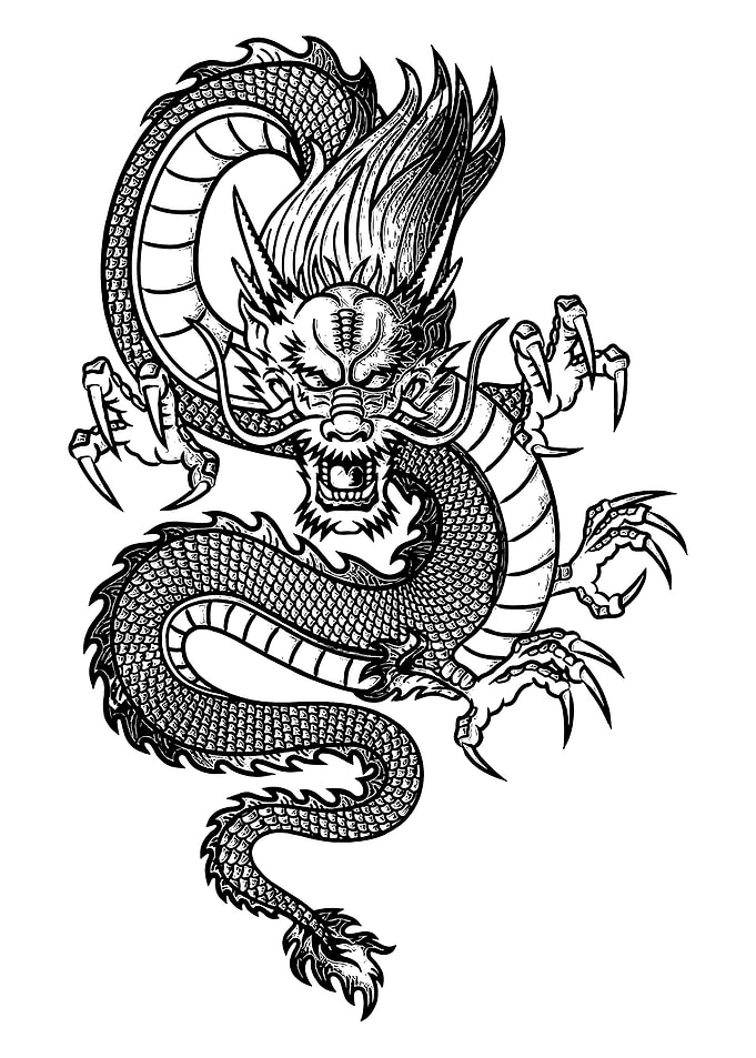 Detailed Black and White Dragon Illustration