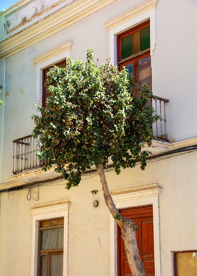 Spanish flair