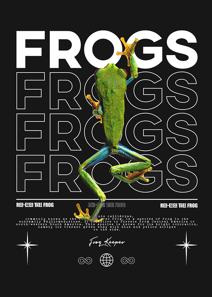 Red-Eyed Tree Frog Exotic Pet