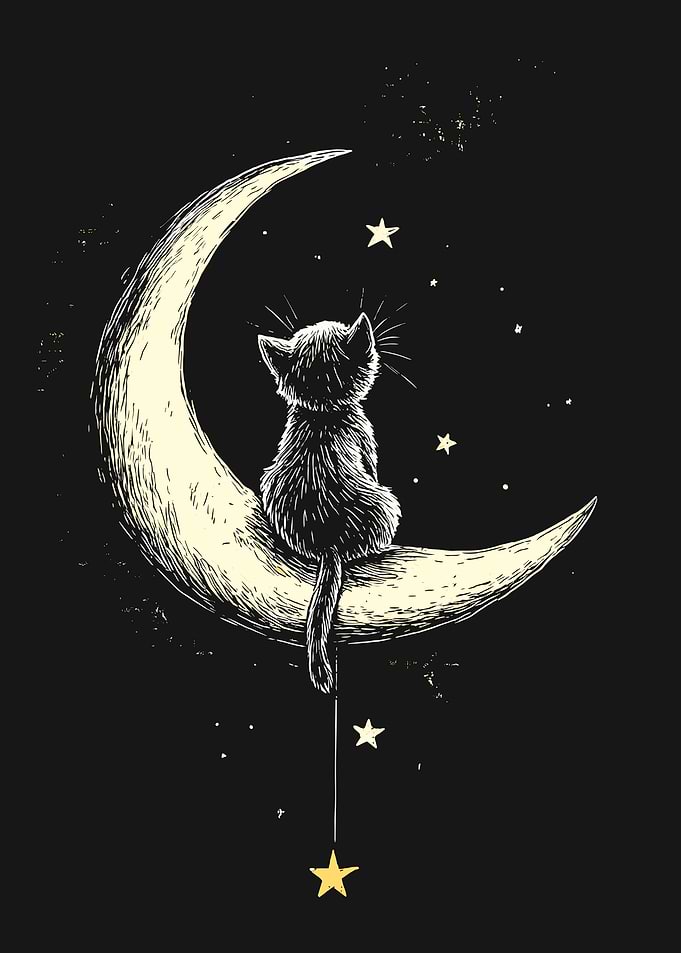 Cat on the Moon with Stars
