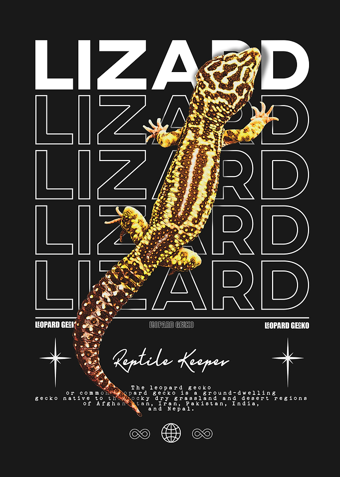 Leopard Gecko Reptile Keeper