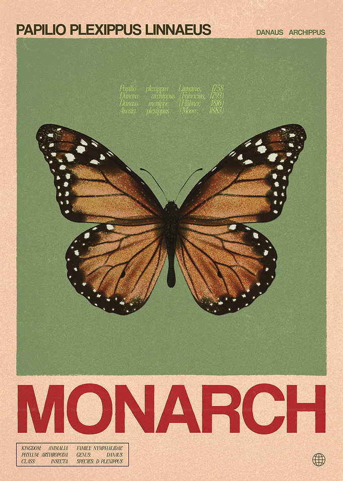 Monarch Butterfly Vintage Style Print