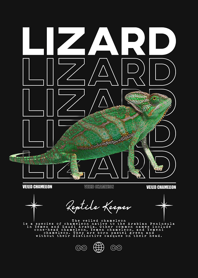 Veiled Chameleon Reptile Keeper