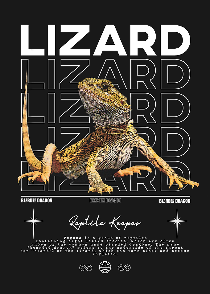 Bearded Dragon Reptile Keeper