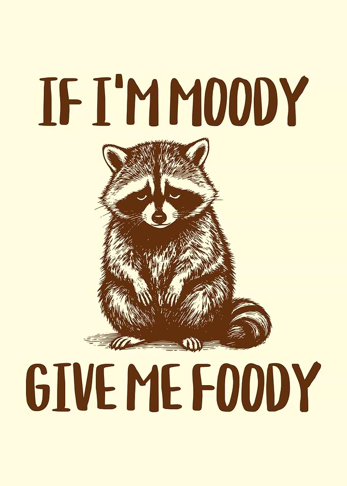 If I'm Moody Give Me Foody Food Lover Raccoon Funny Foodie