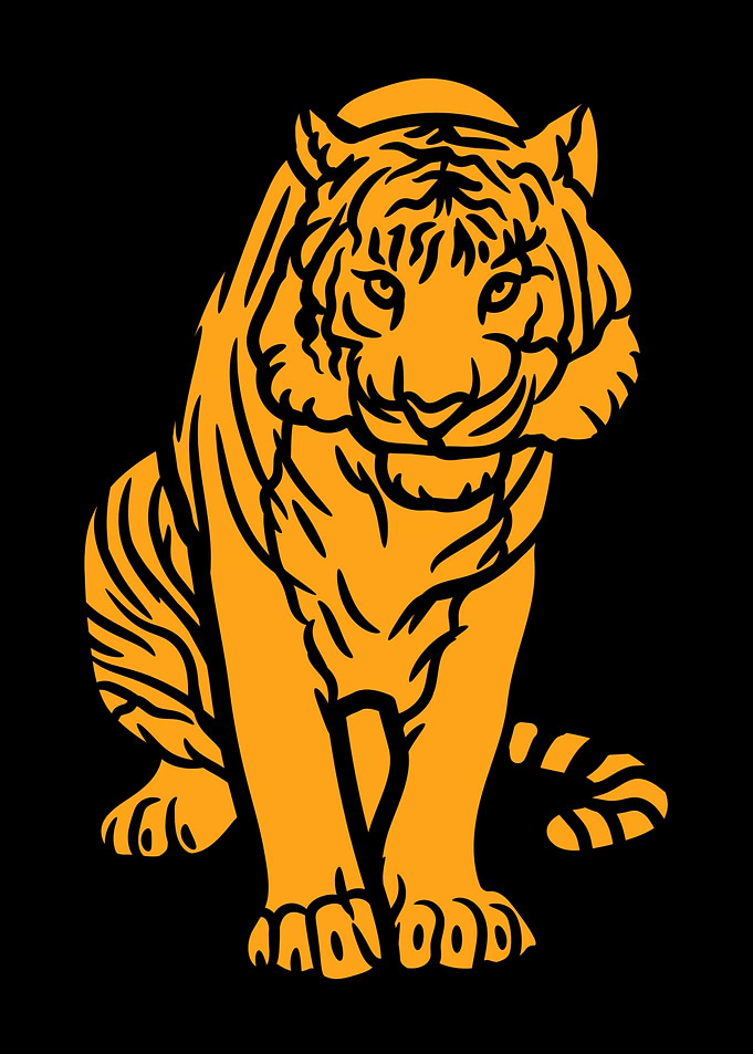 Orange Tiger on Black Background