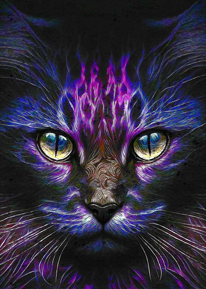 Colorful Cat Portrait