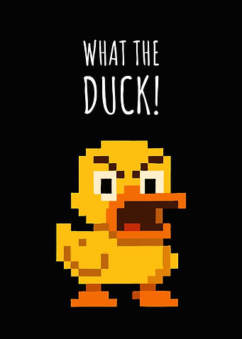 What the Duck! Pixel Art Funny