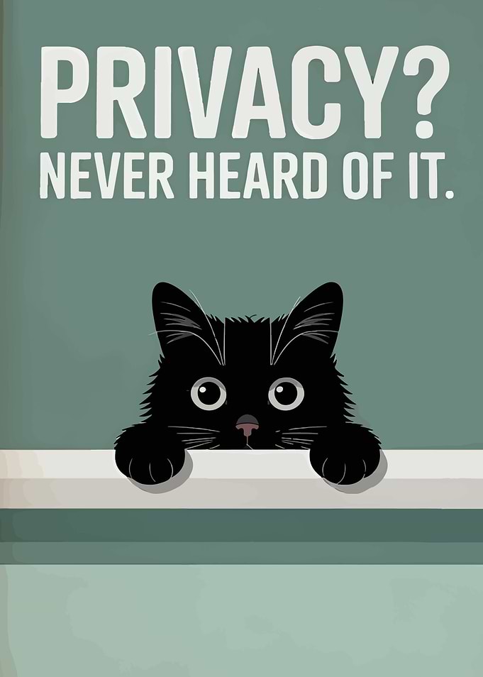 Privacy? Never Heard of It.