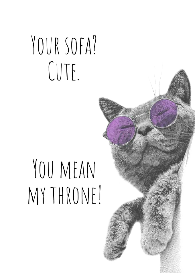 Cool Cat - My Throne