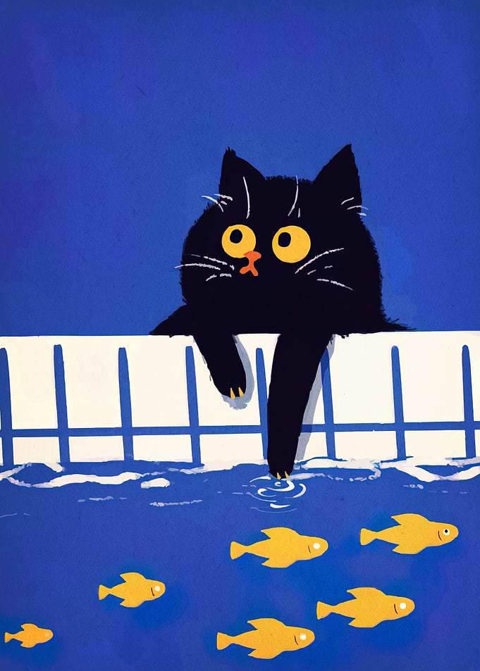 Black Cat Fishing