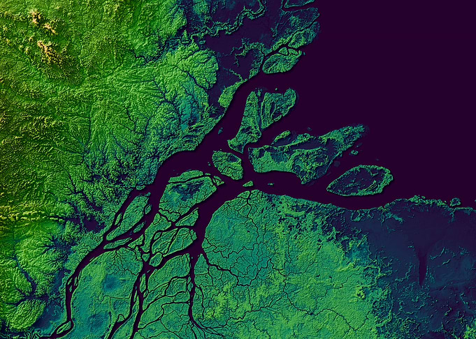 Amazon Estuary
