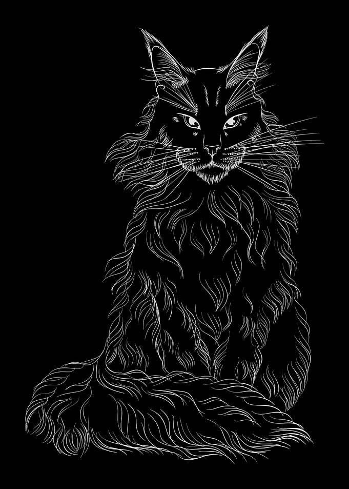 Maine Coon Cat White Line Art