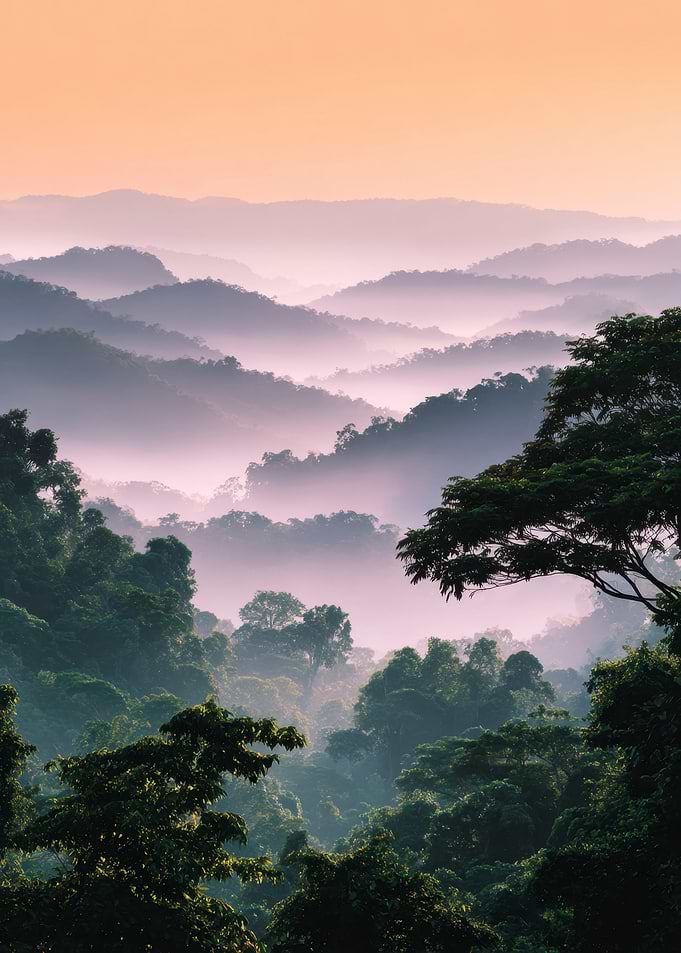 Foggy Mountains in Forest Landscape Nature