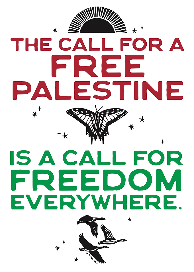 Free Palestine Advocacy Poster