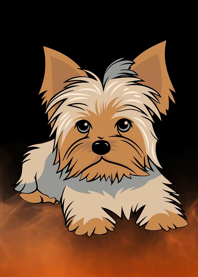 Cartoon Yorkshire Terrier Portrait