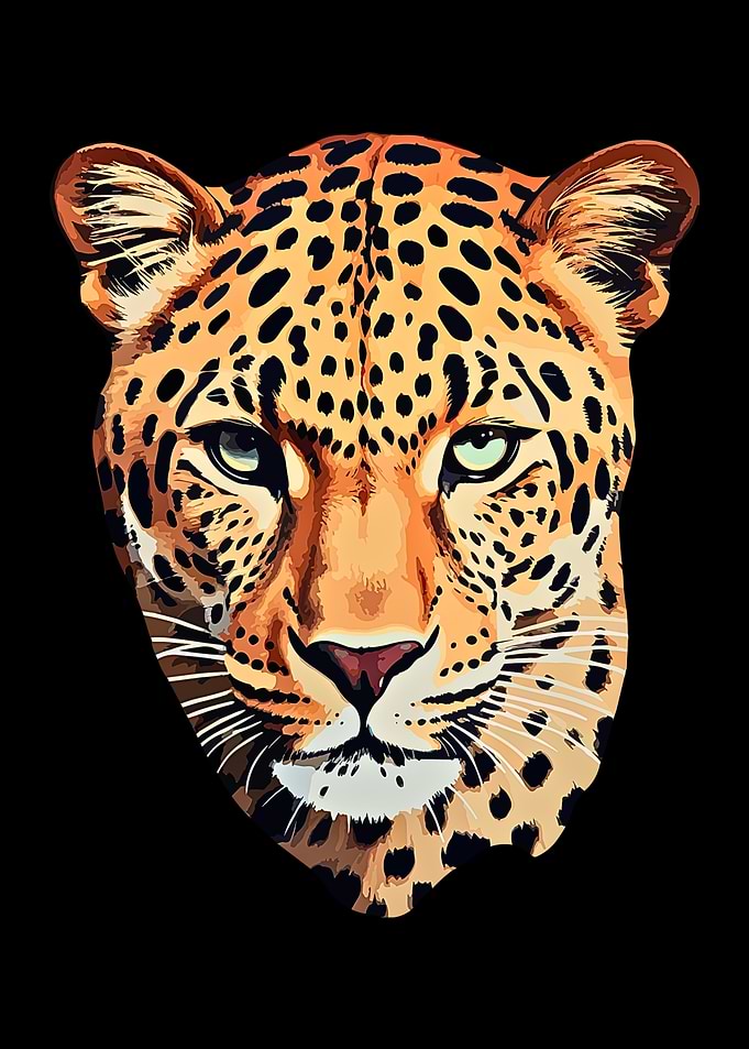 Leopard Portrait on Black Background