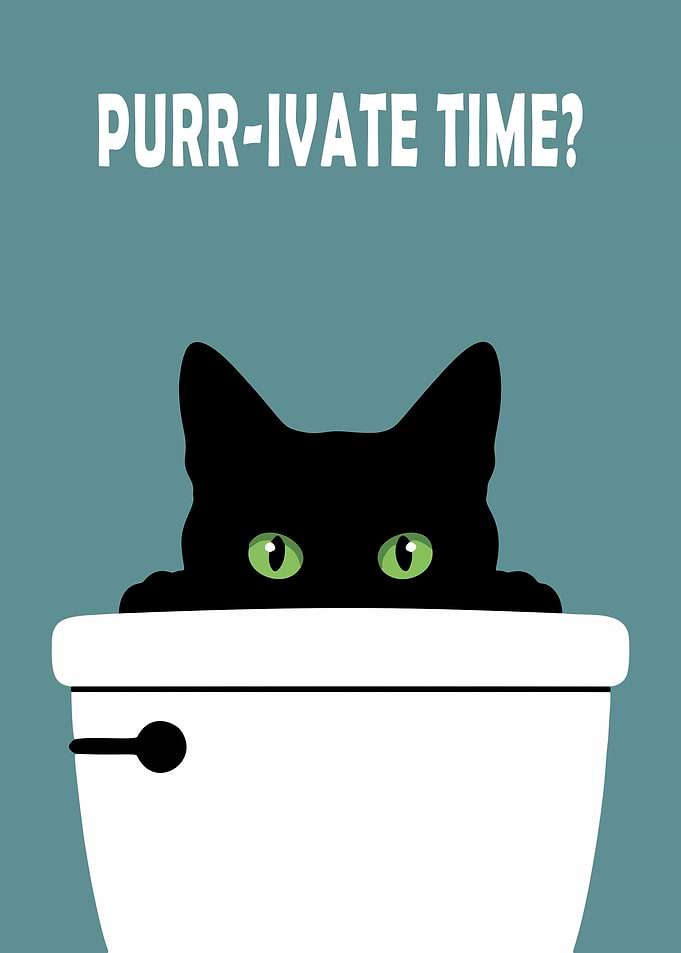 Purr-ivate Time Cat in Toilet