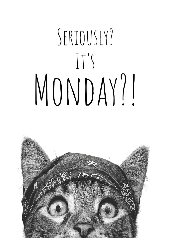 Monday Blues Cat