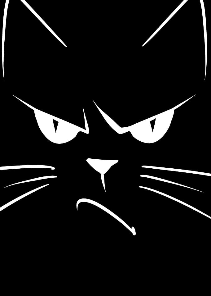 Grumpy Black Cat Illustration