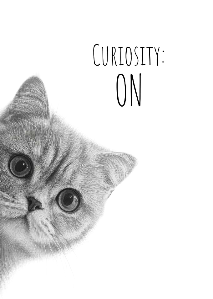 Curious Cat Peeking