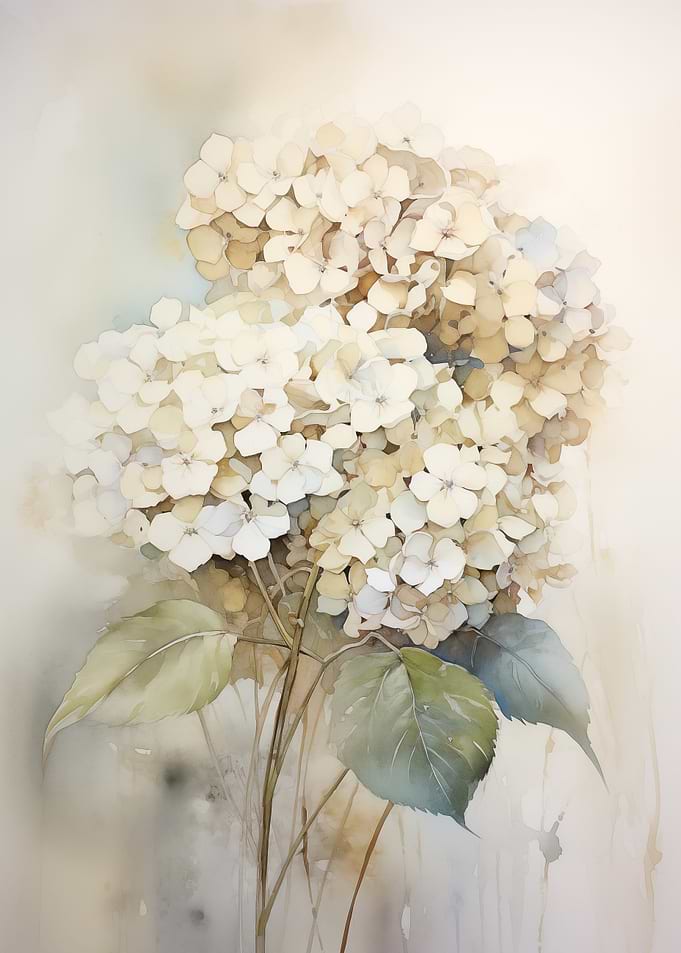 Hydrangea Floral Art