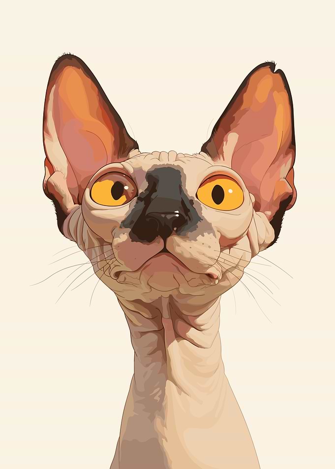 Sphynx Cat Portrait Illustration