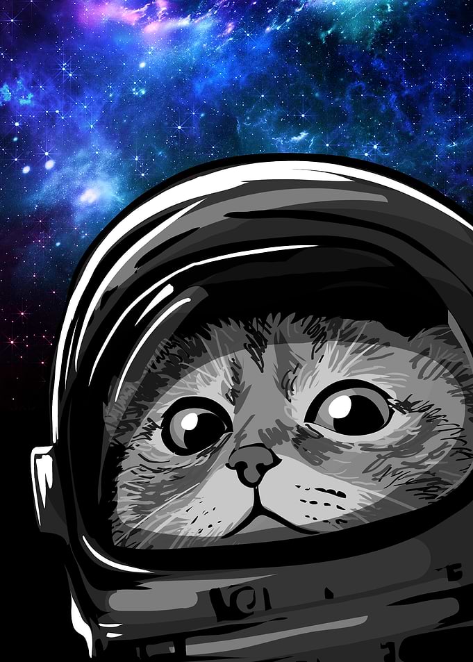 Astronaut Cat in Space