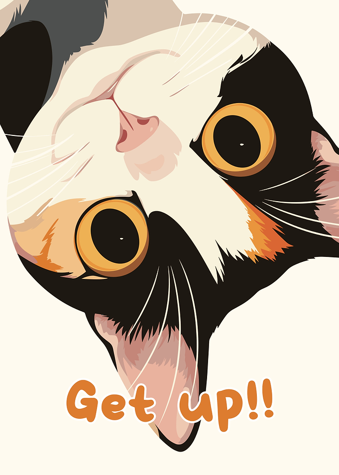 Upside-Down Cat with 'Get up!!' Text