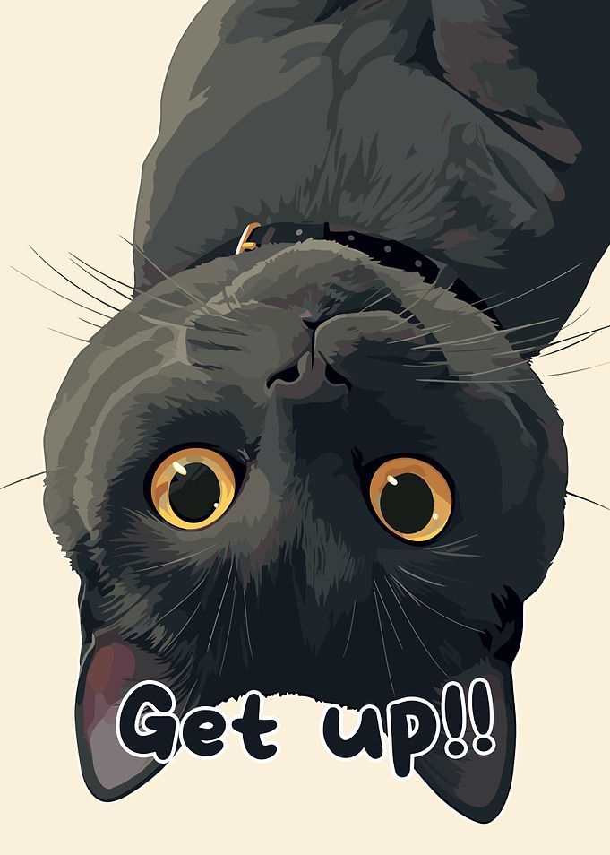 Upside-Down Cat with 'Get up!!' Text