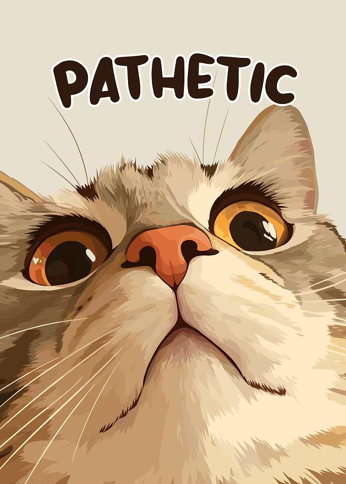 Pathetic Cat Illustration
