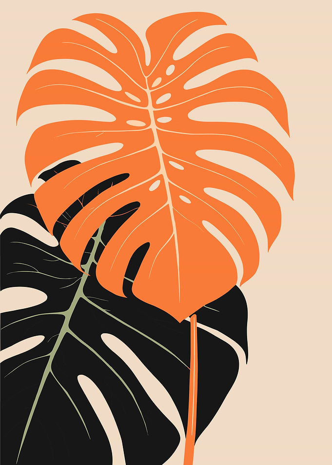 Monstera Leaves Art Print