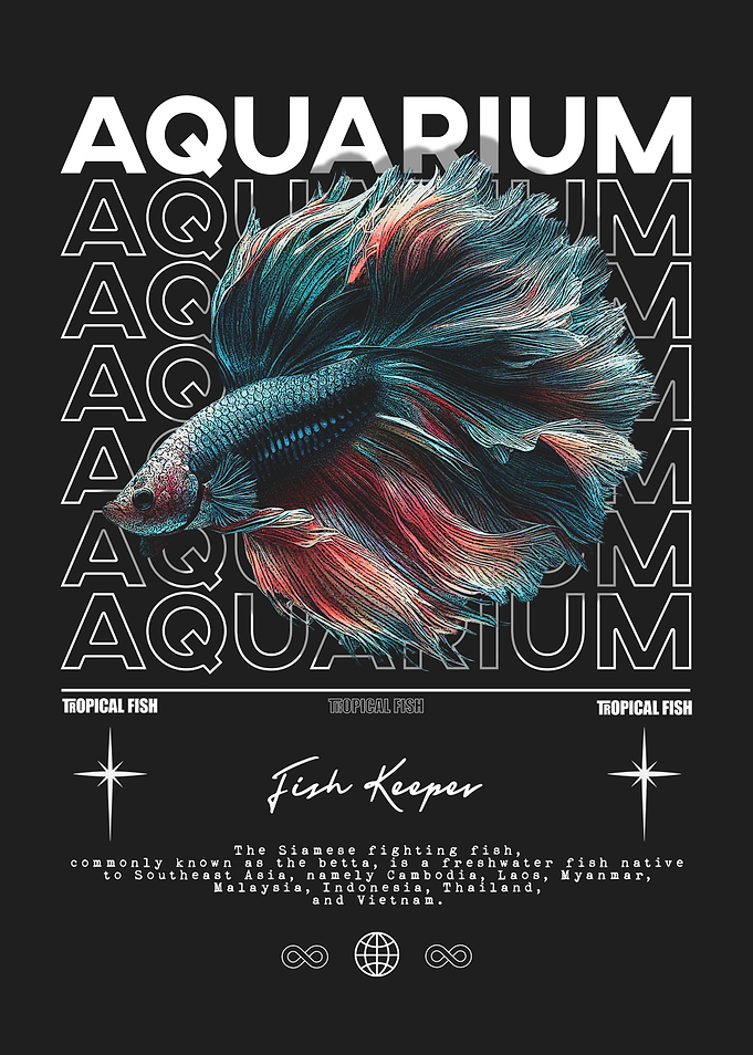 Fighter Fish Aquarium Fish Keeper