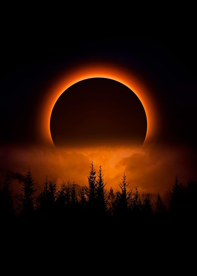 Solar Eclipse Over Forest